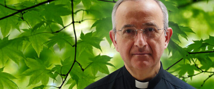 Padre Rafael Arce Gargollo