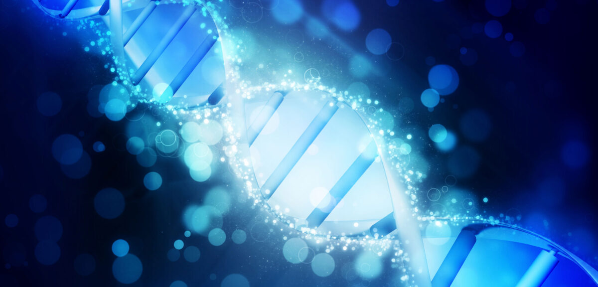 El origen de la vida