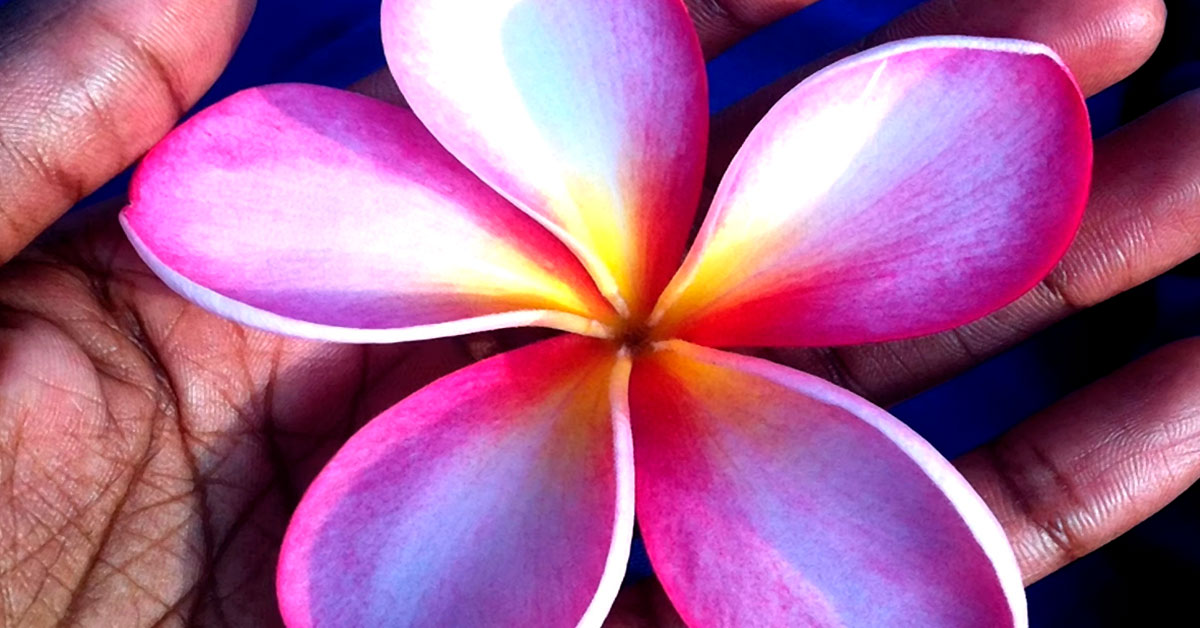 La plegaria y la ofrenda