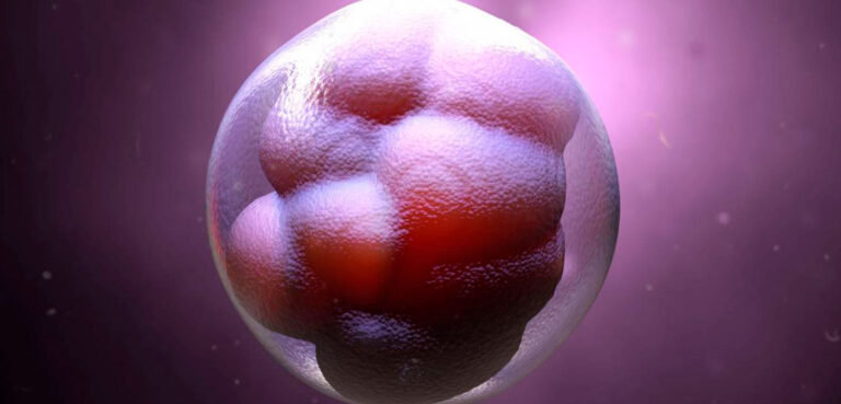 Que hacer los con loe embriones congelados