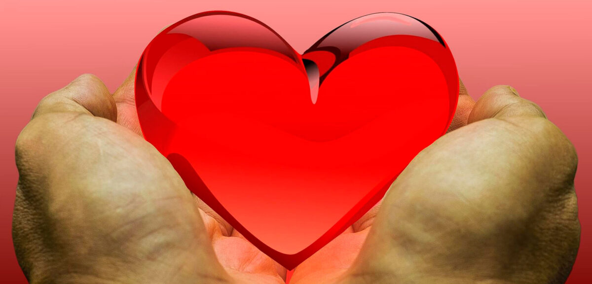 Donación de organos