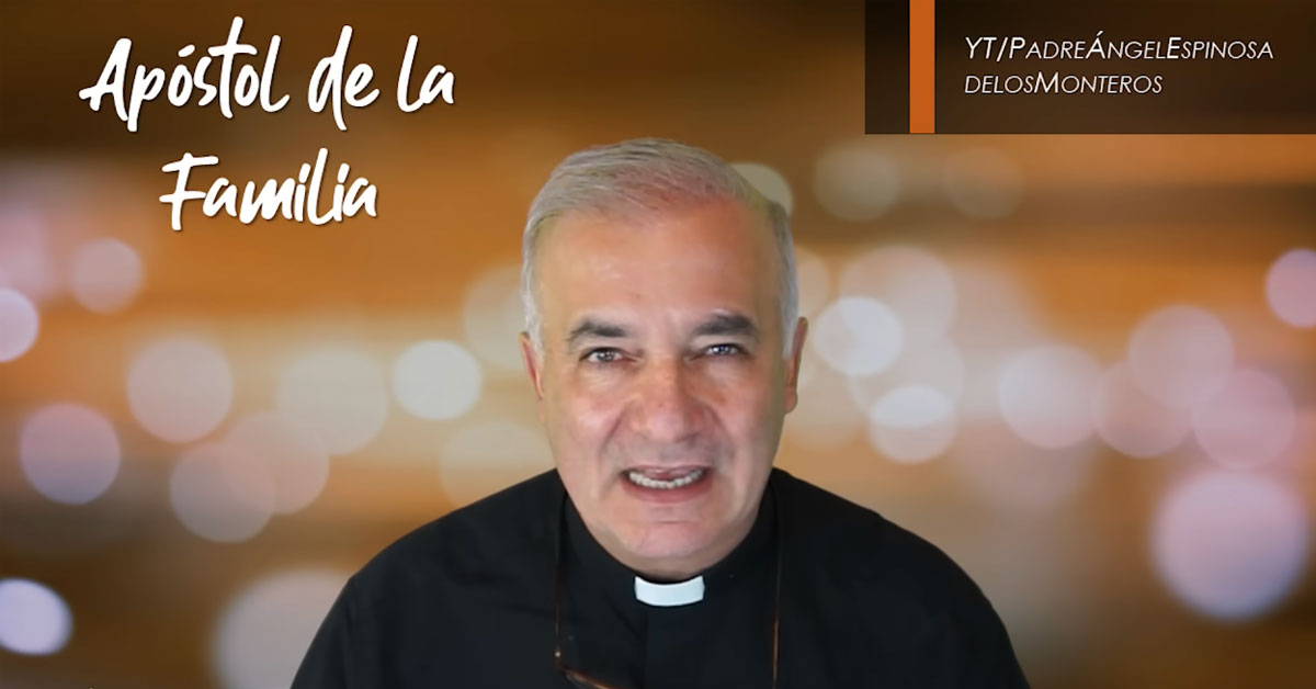 Apóstol de la familia