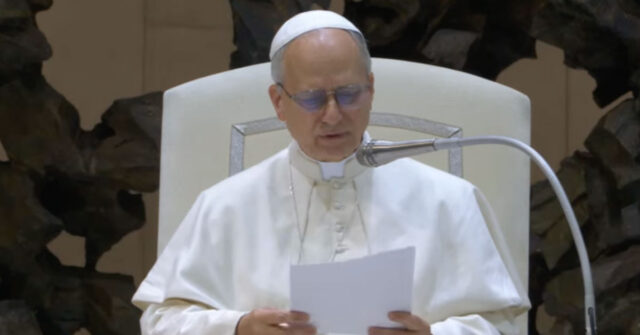 Audiencia Papa León XIV