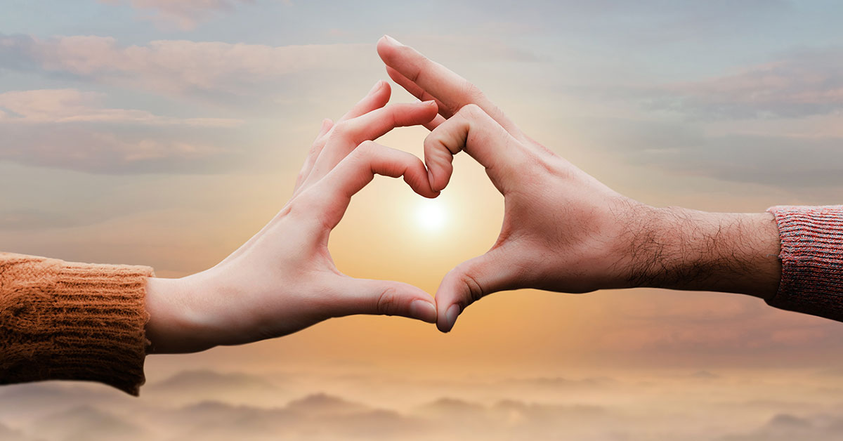 Amor a la vida - encuentra.com