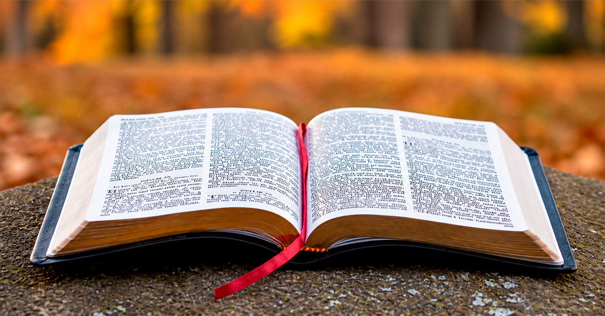 S. Escritura IX: La sabiduría en Israel